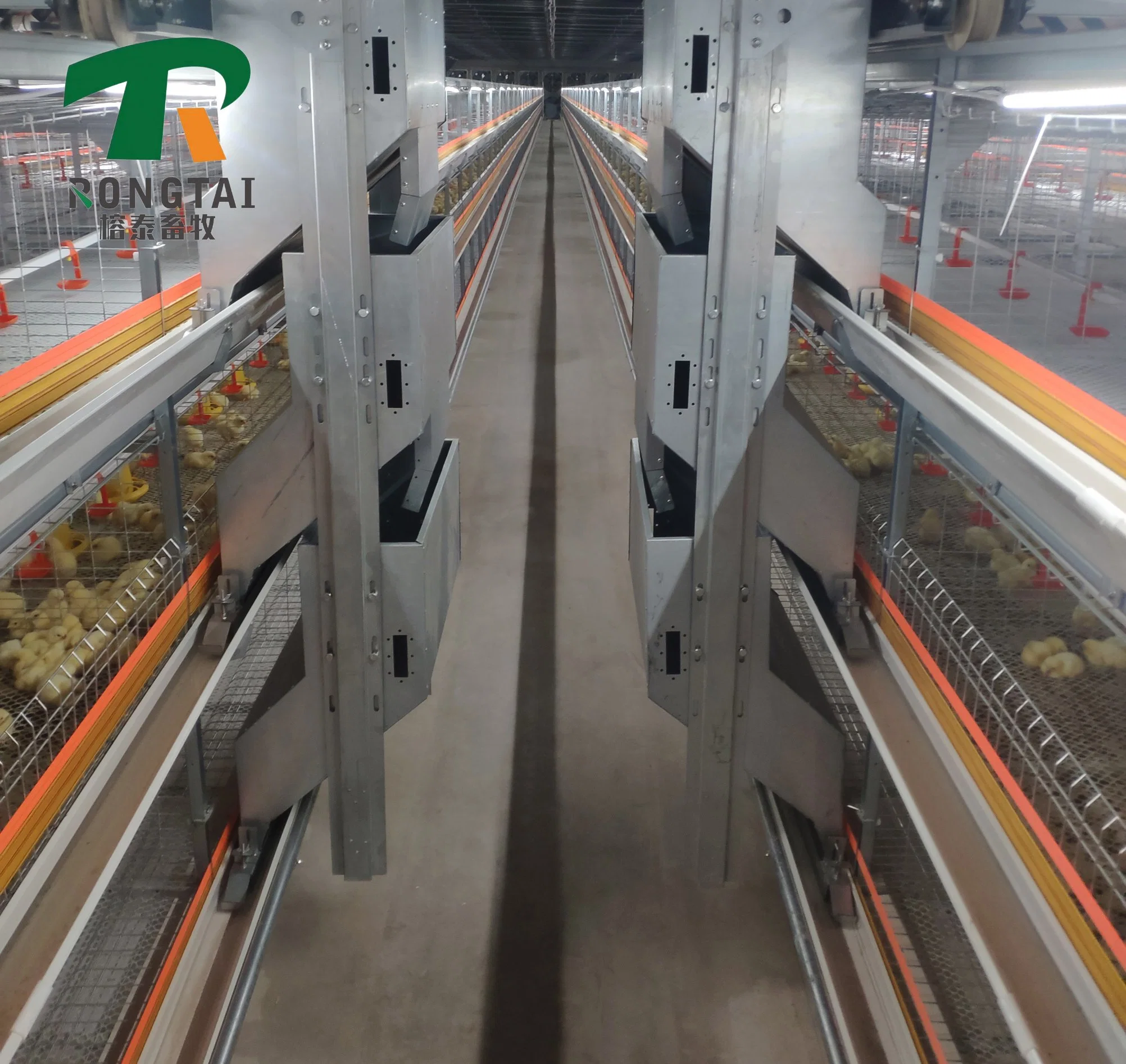 Poultry Farm Automatic H Frame Galvanized Layer Egg Laying Chicken Battery Cage Poultry Equipment