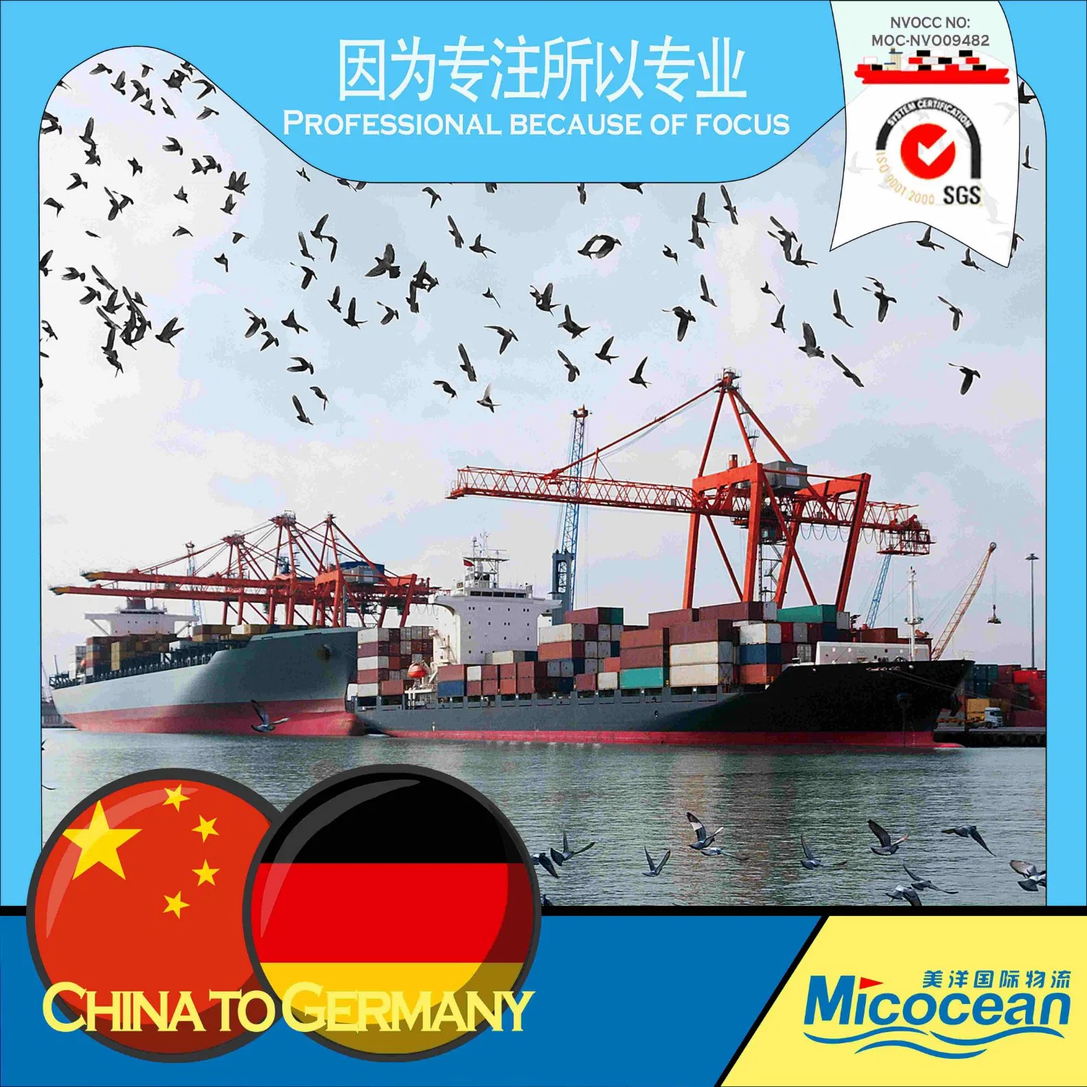 Professional Sea Shipping Services From China to Hamburg, Germany