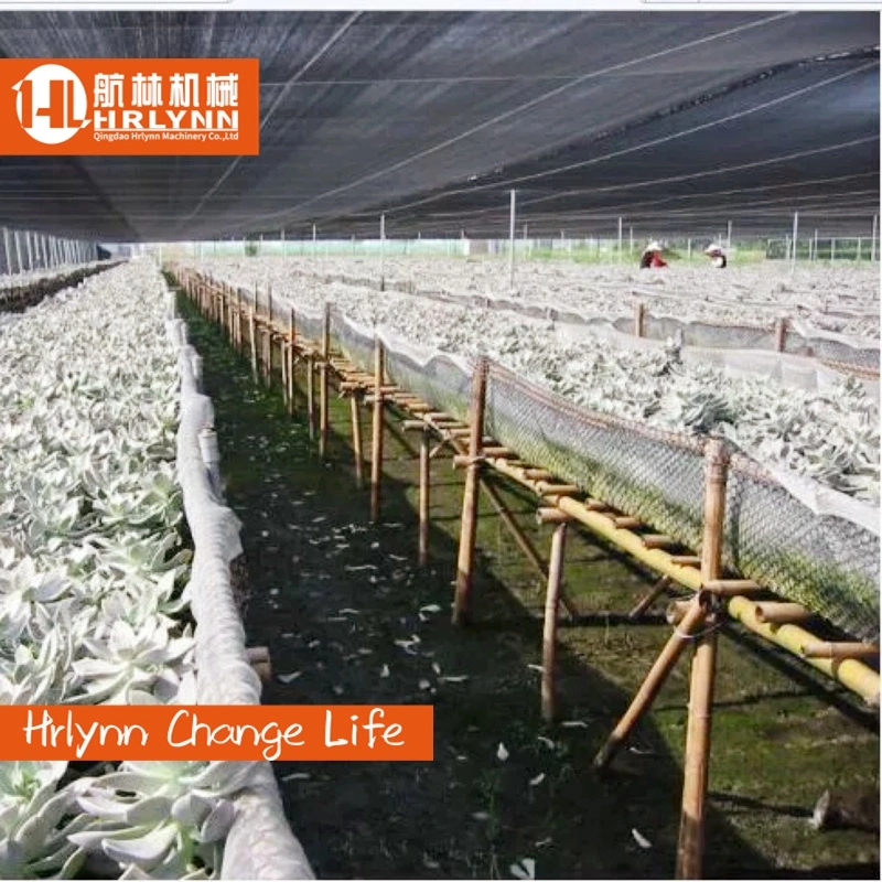 Best Quality Agricultural Large Shade Net Greenhouse