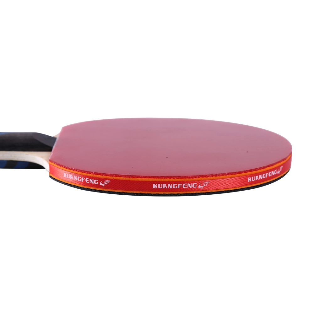 Pingpong Table Tennis Rackets Set Table Tennis Net and Paddle Set for Home Indoor or Outdoor Play