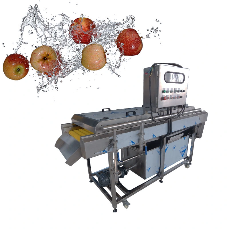 Industrial Style Fruit Washing Machine Food Processing Cleaning Washer