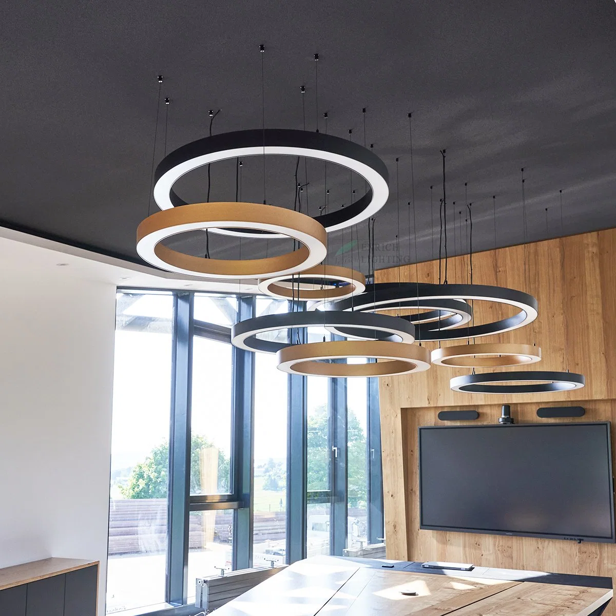 Modern Ceiling Lights Fixtures LED Ring Suspended Light Indoor Pendant Circular Light