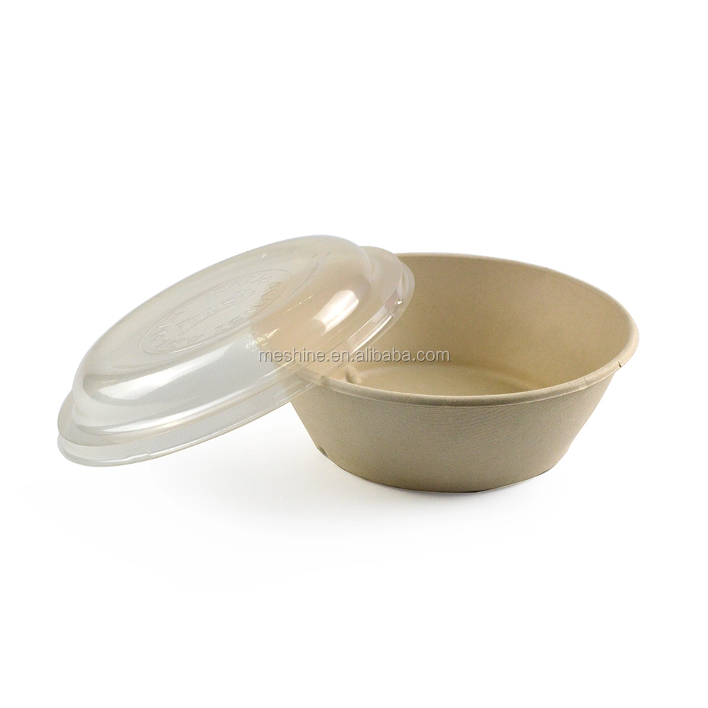 Biodegradable Tableware Disposable Boxes for Delicious Food