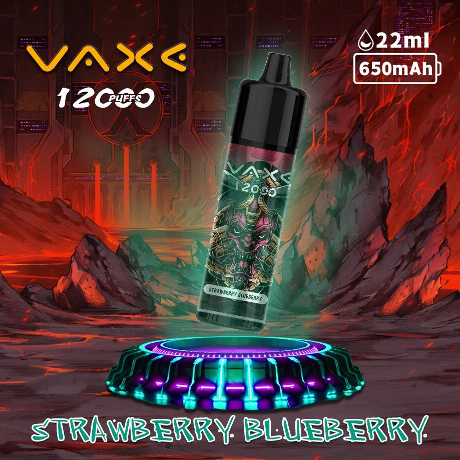 Vaxe Vape 12000 أطواق 22 مل مصنع عصير E-Juice للبيع بالجملة Esجاير مازاج إينستا بار روما أتوميزر ISTA Ale Faker Custom جهاز التبخير