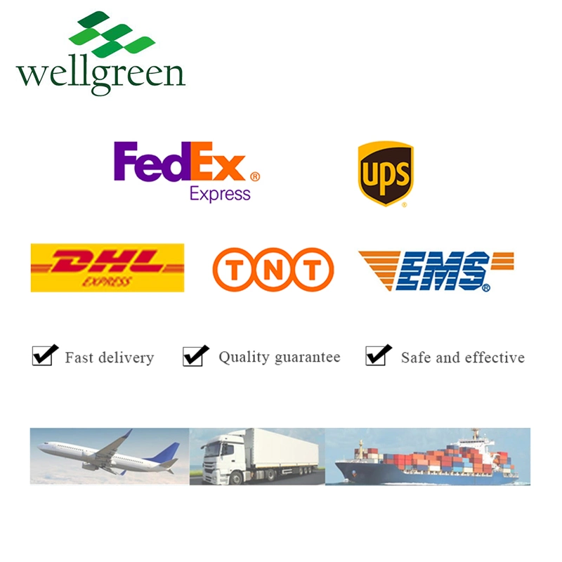 Wellgreen Free Sample 20: 1 Passion Flower Extract Powder Passiflora Incarnata Passion Flower P. E