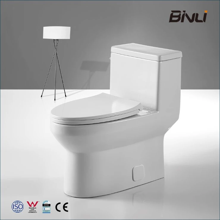 Classical One Piece Toilet Sanitary S-Trap Flushing Ceramic Commode MID East Market