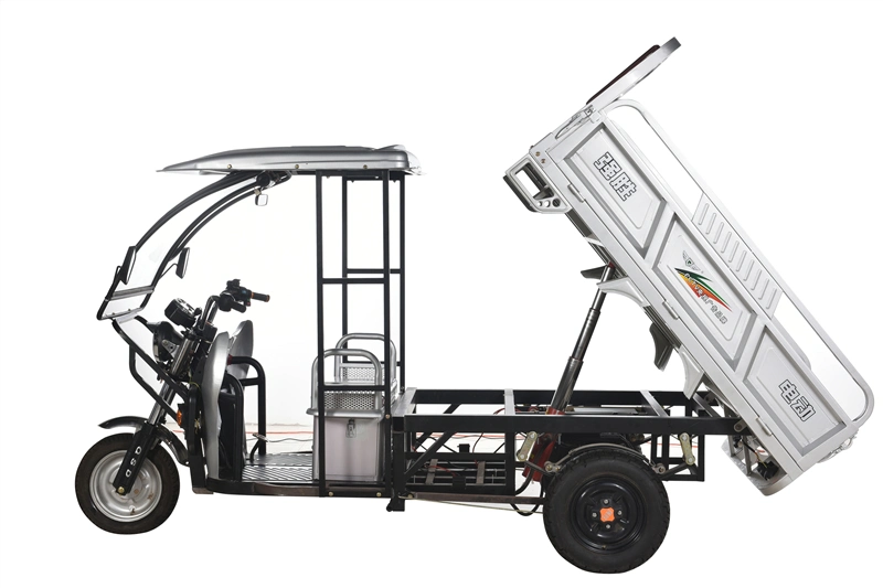 Qsd EV Triciclo De Carga Triciclos Electricos Used Cargo Tricycles Chino Rickshaw E Loader