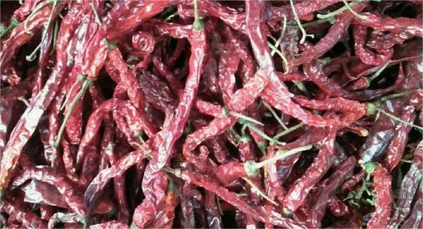 Best Natural Hot Dry Red Chili China Long Chilies