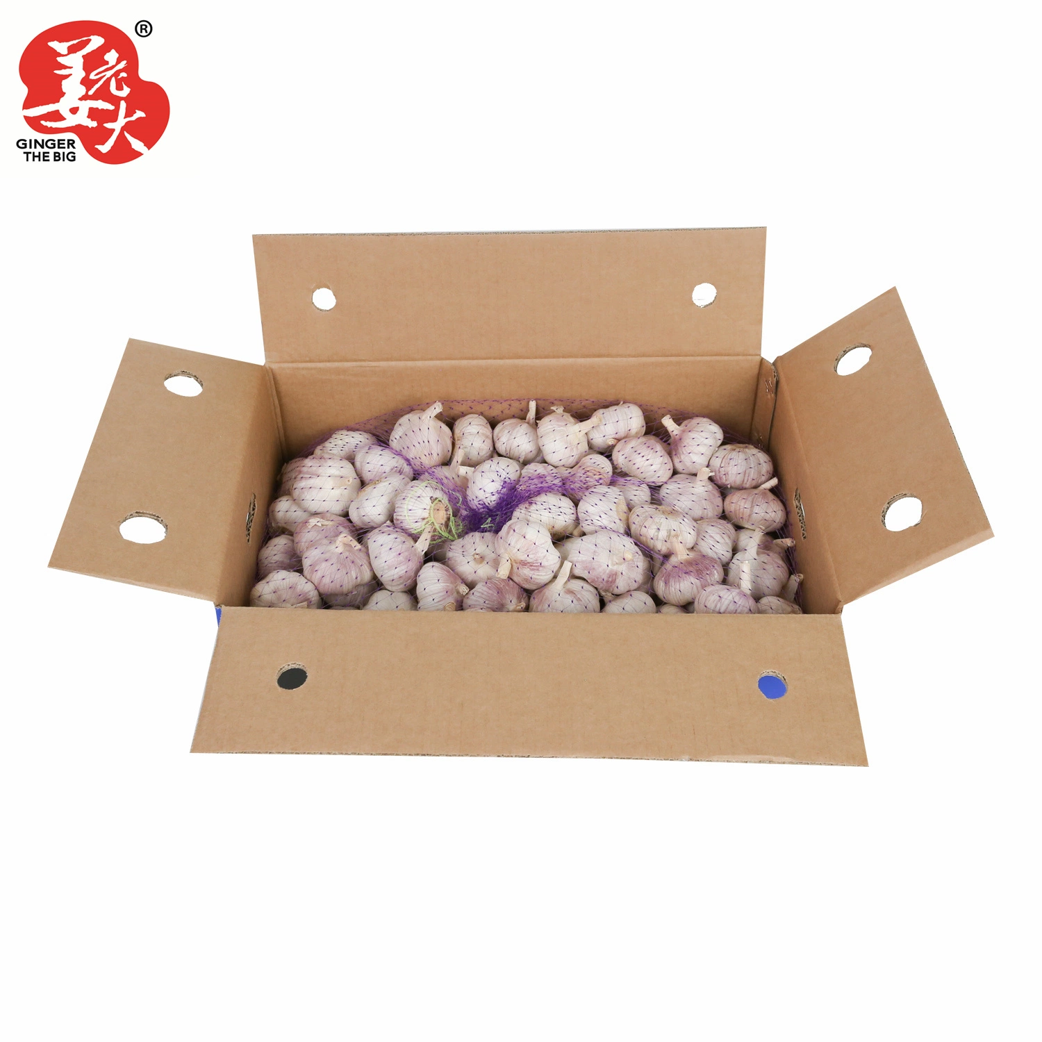 2023 New Crop Chinese Normal White Garlic /Pure White Garlic/Fresh Garlic