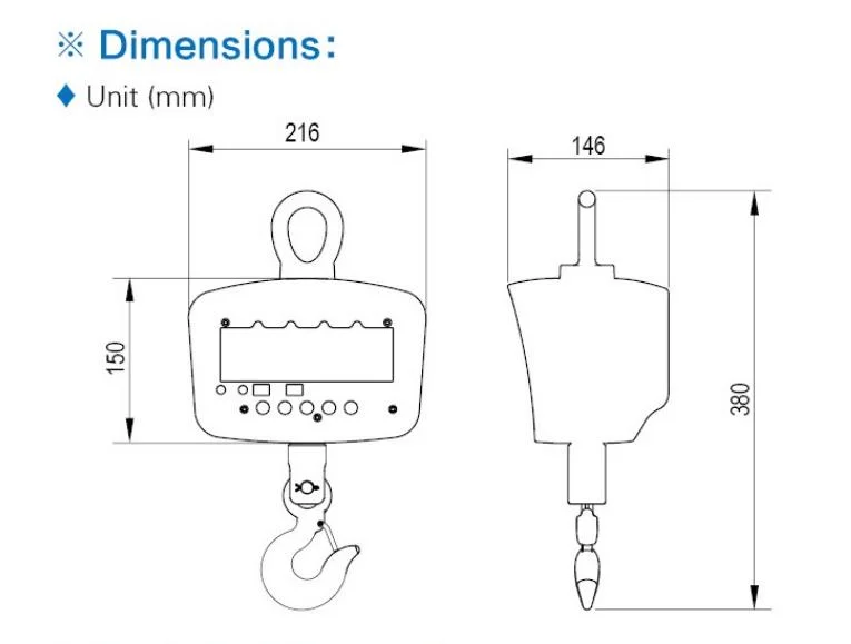 Lp7651 Crane Scale