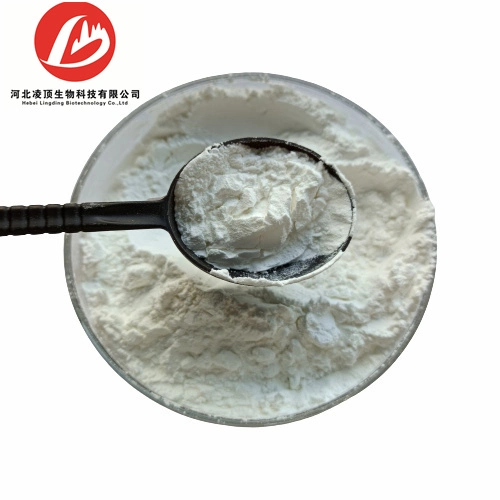 Heißer Verkauf Xanthan Gum Pulver CAS 11138-66-2