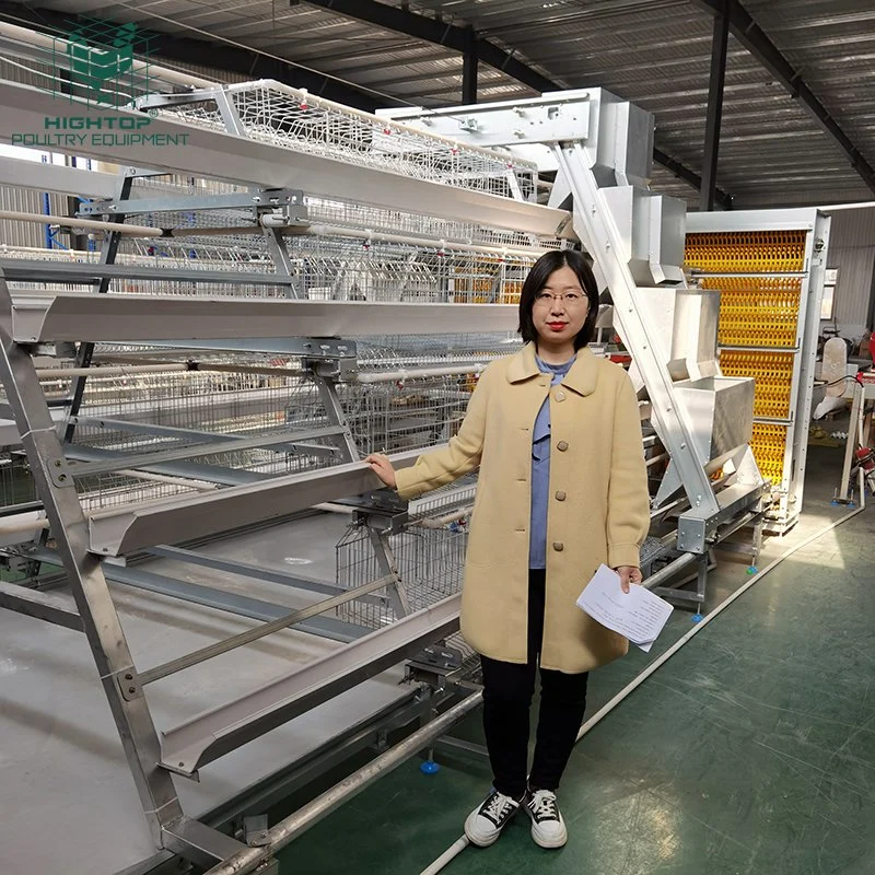 Poultry Farm Chicken Layer Cages With Automatic Feeding Equipment