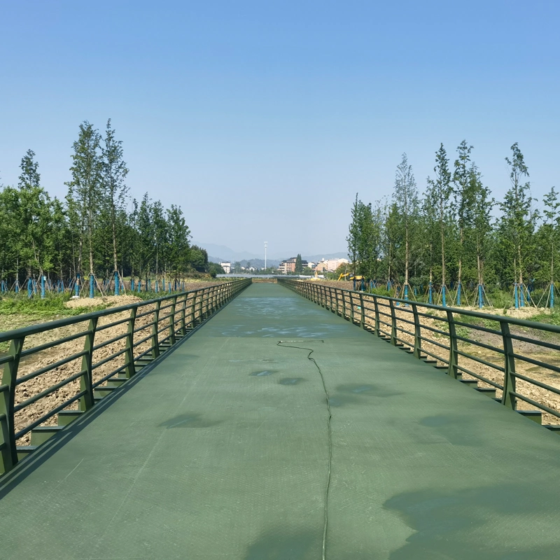 Steel Structure Pedestrian Bridge Bailey Bridge for Emergency Purpose