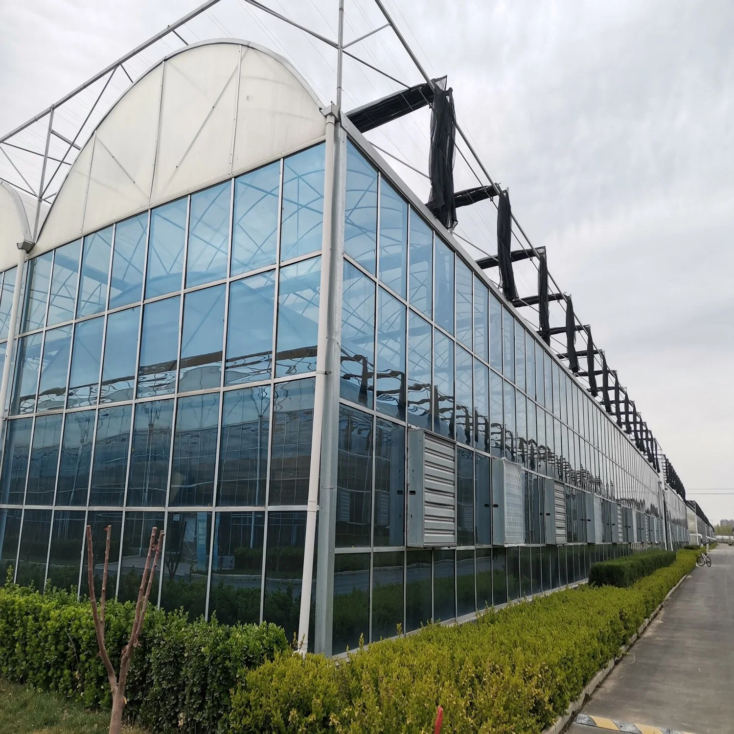 Aluminium Profiles Glass Greenhouse with Cooling System