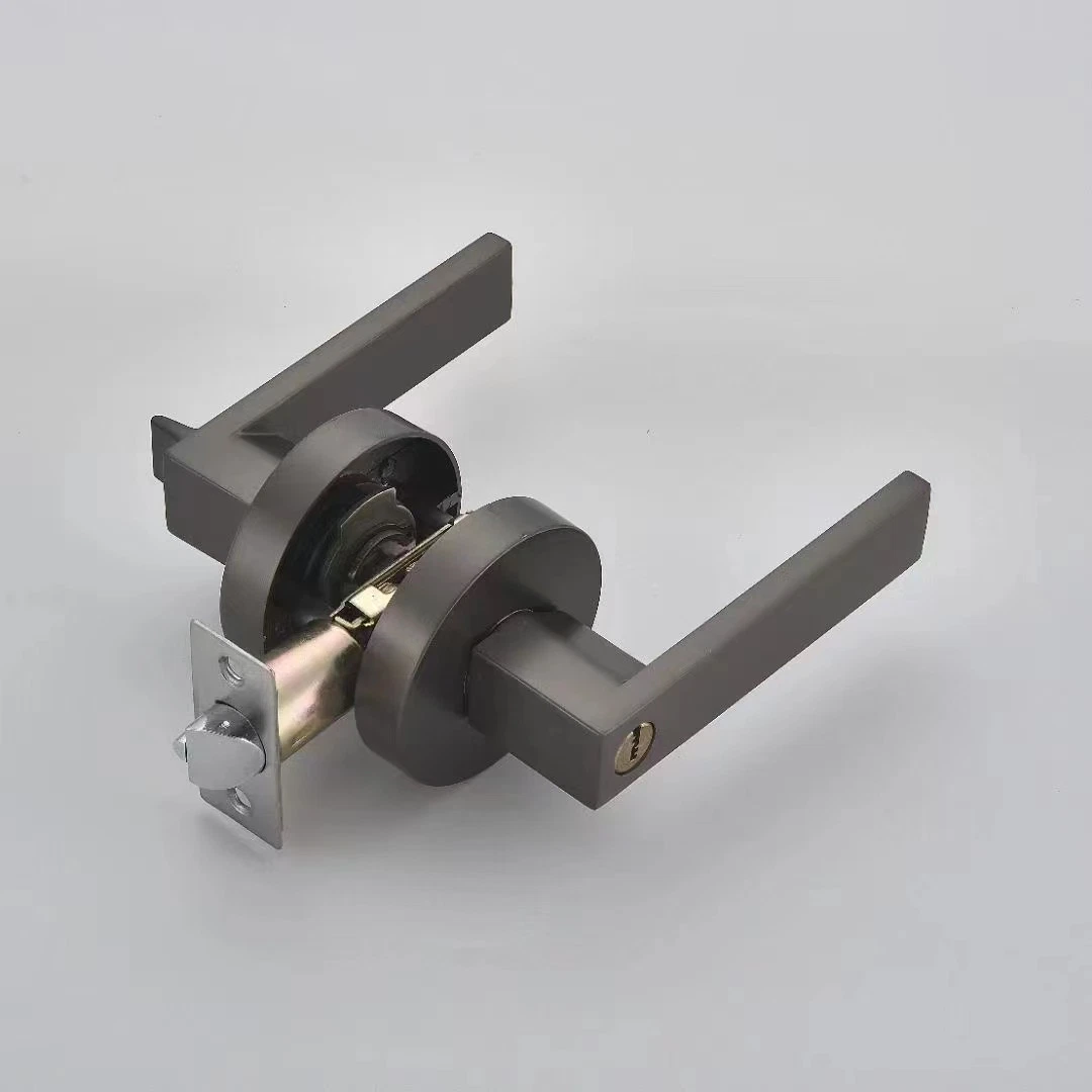 Zinc Alloy Door Handle Lock Lever on Rosette Hot Sale Popular