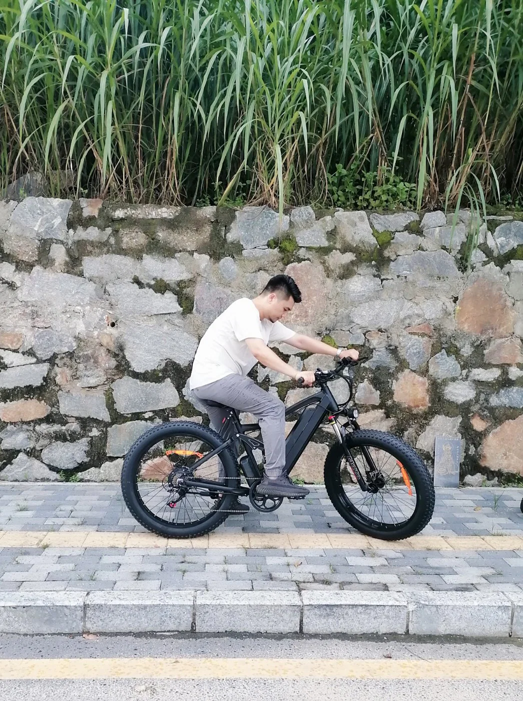 Ready to Shipping 48V 550W New Design EU Warehouse Full Suspension Fat Tire Mountain Dirt Electric Bike