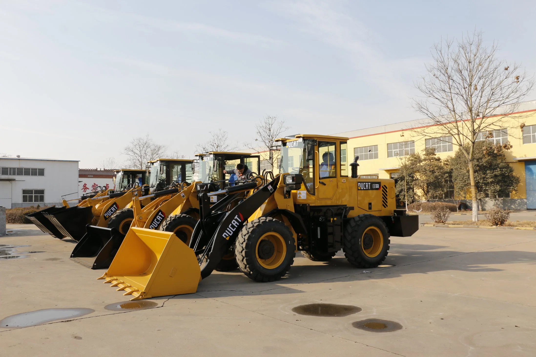 Small/Mini/Compact Agricultural/Construction/Farm Front End Shovel Wheel Loader with CE/ISO/Eac Certificate Lq933