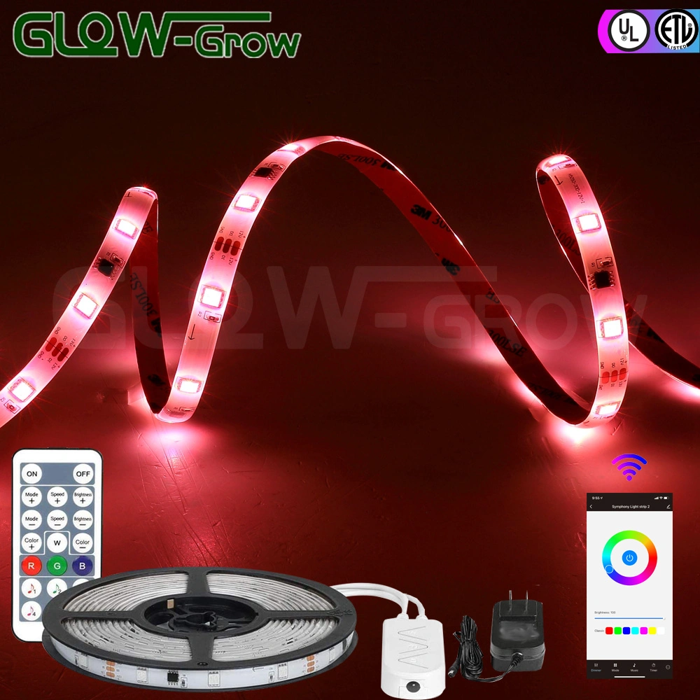 Indoor Outdoor Adhesive LED RGB Strip Light with Alexa and Google Home Compatible.