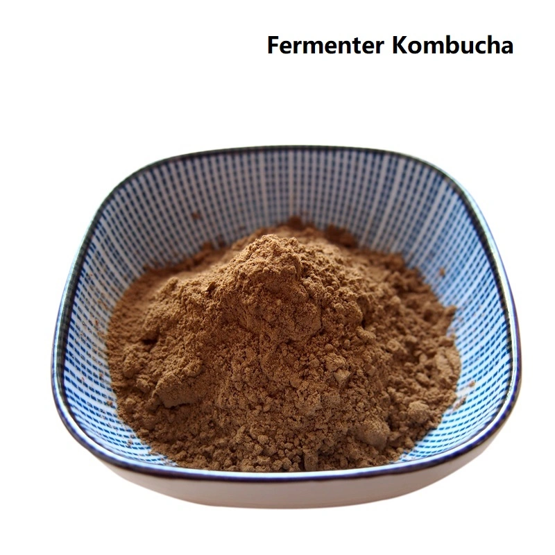 El té de Kombucha fermentador en polvo Extracto de Kombucha