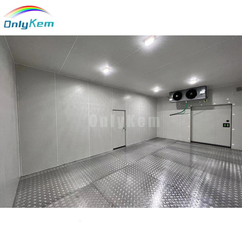 ONLYKEM Walk in Cold Room/Freezer/Fridge Cold Storage for Chicken