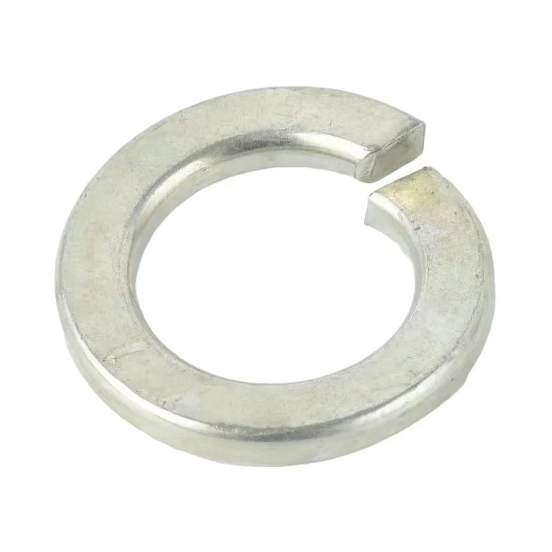 Carbon Steel Stainless Steel Flat Washers Plain Washers Spring Lock Washers