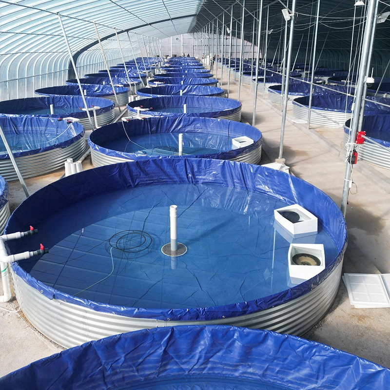 Personnalisable bassins à poissons commerciaux de grande taille pour les poissons d'élevage 100000 litres