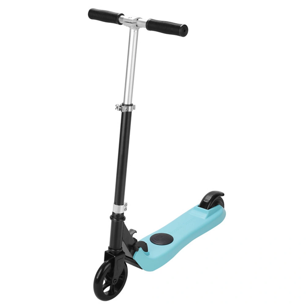 10inch Trottinette Ew 36 Hub Motor Wheel Electric Mobility Scooter