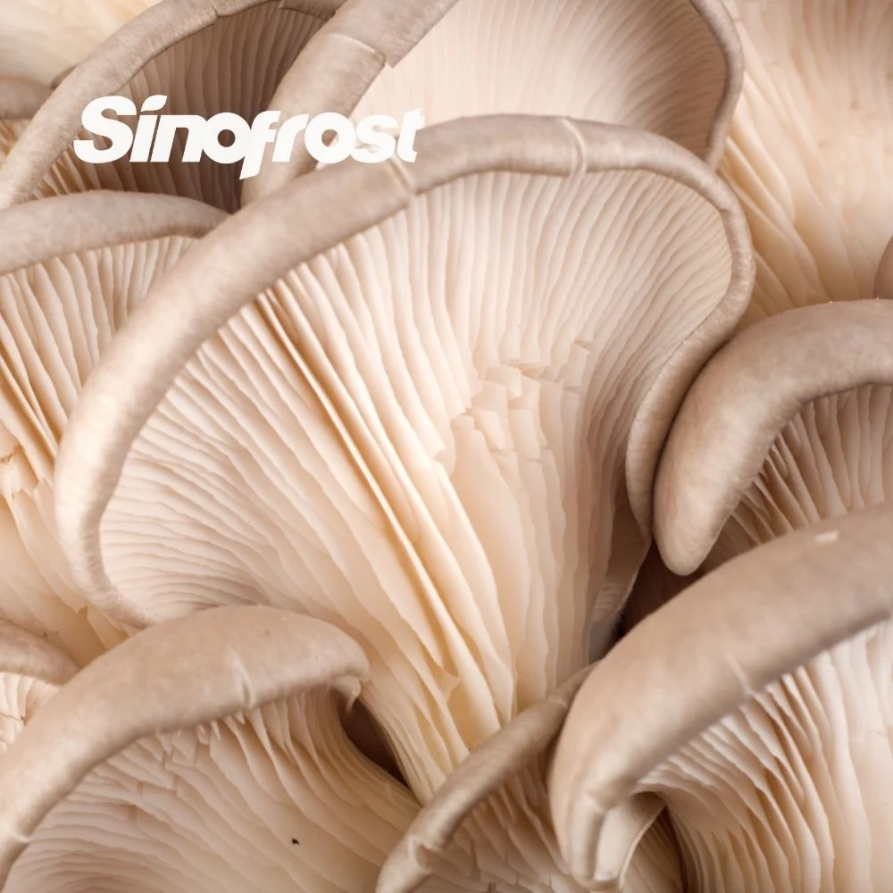 Sinofrost: Wholesale/Supplier IQF Diced Pleurotus Mushrooms Manufacturer - Premium Quality IQF Frozen Oyster Mushroom Cubes Supplier