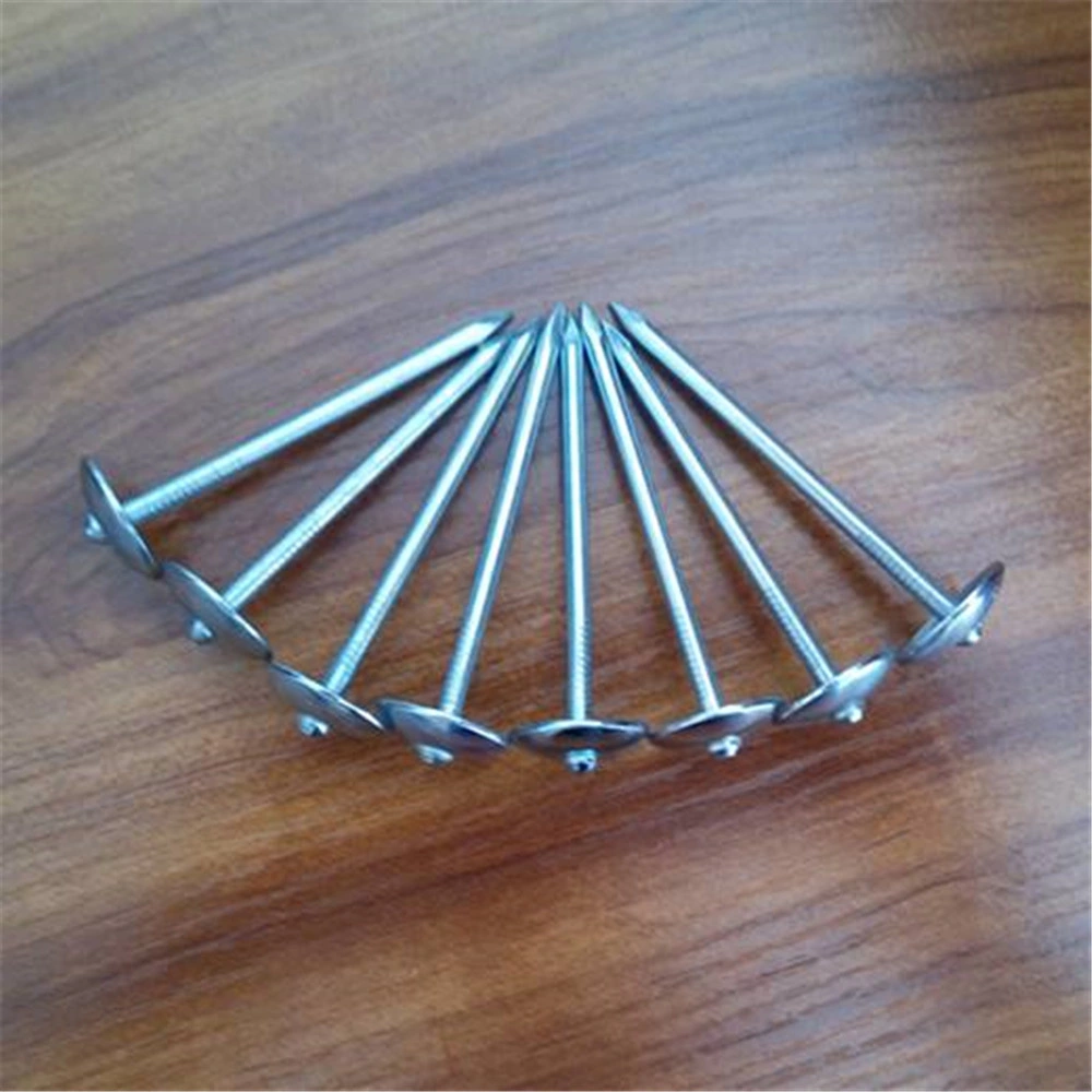 Galvanized Straight Pole Corrugated Nail Hardware Appliances