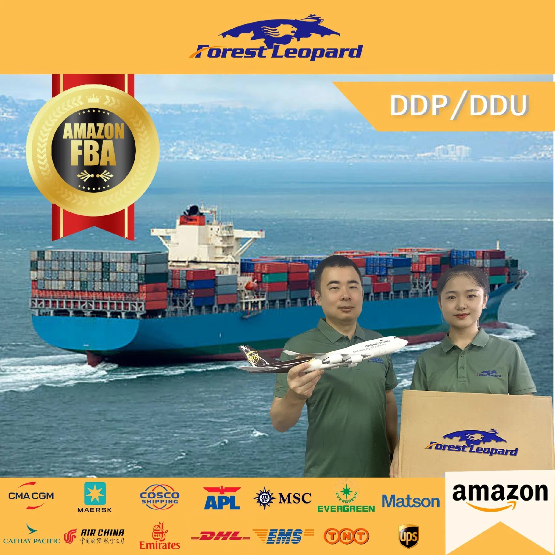 DDP/ DDU Shipping Agent Amazon Fba Freight Forwarder China to Dubai UAE USA UK Italy France Germany Australia LCL