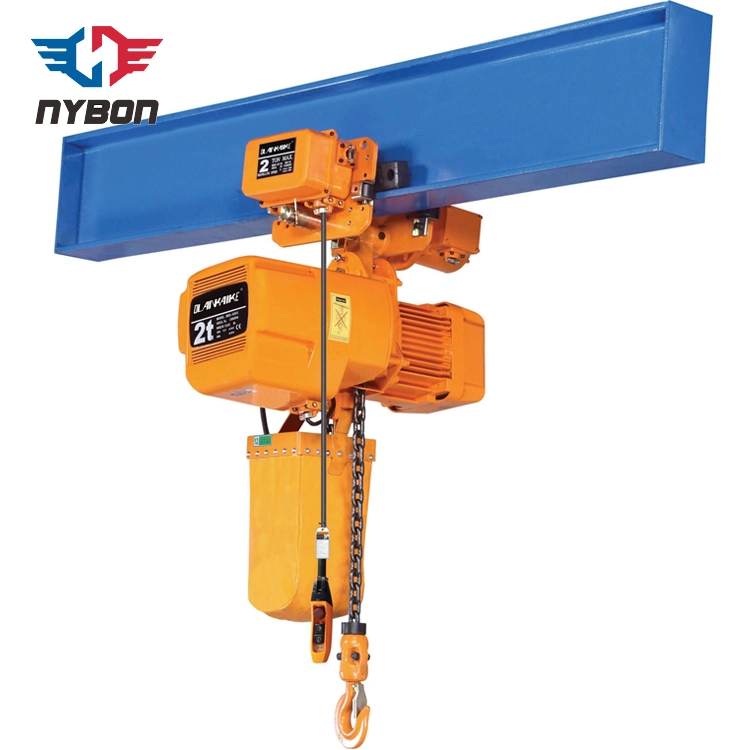 Lifting Mini Chain Hoist Electric Hoist Manual or Electric