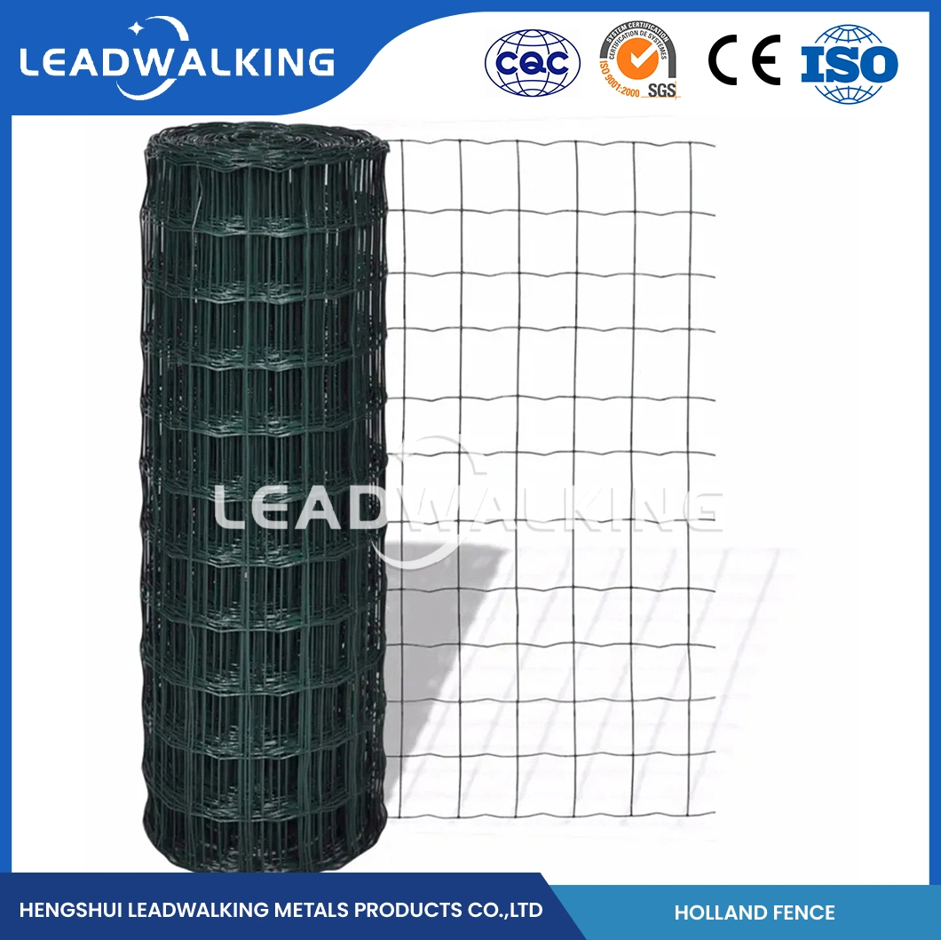 Leadwalking Euro Zaun Welding Mesh Factory Custom 2 Zoll Edelstahl Stahl geschweißte Drahtgeflecht mit PVC-Beschichtung China 50.8X101.6mm Mesh Niederländisches Netz Fechten