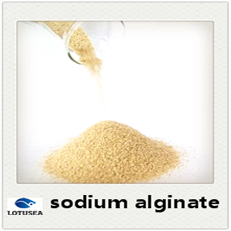 L'alginate de sodium pour l'utilisation de colorant réactive textiles 150mesh 6000CPS