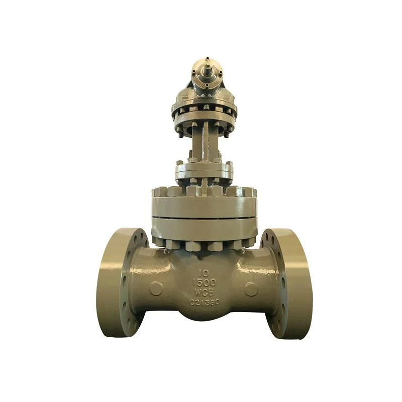 API600 ASME B16.5 10 Inch 2500 Lb Cast Iron Metal Seat Fully Open Worm Gear Operated Gate Valve