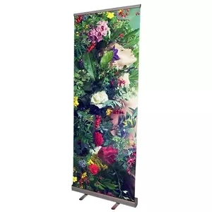 Cheap Pull up Banner for Advertising Display