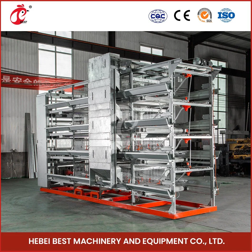 Bestchickencage H Frame Broiler Cages China a Type Layer Chicken Cage Suppliers High-Accuracy Broiler Rearing Cage