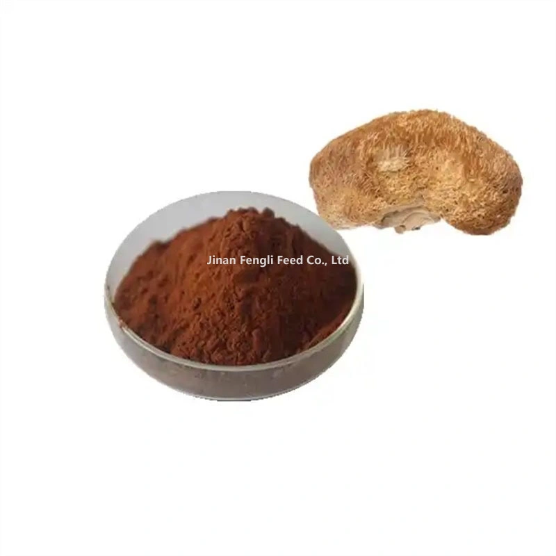 Amostras gratuitas Ganoderma Lucidum Reishi Extrato de cogumelo em pó a alimentação animal aditivo alimentar