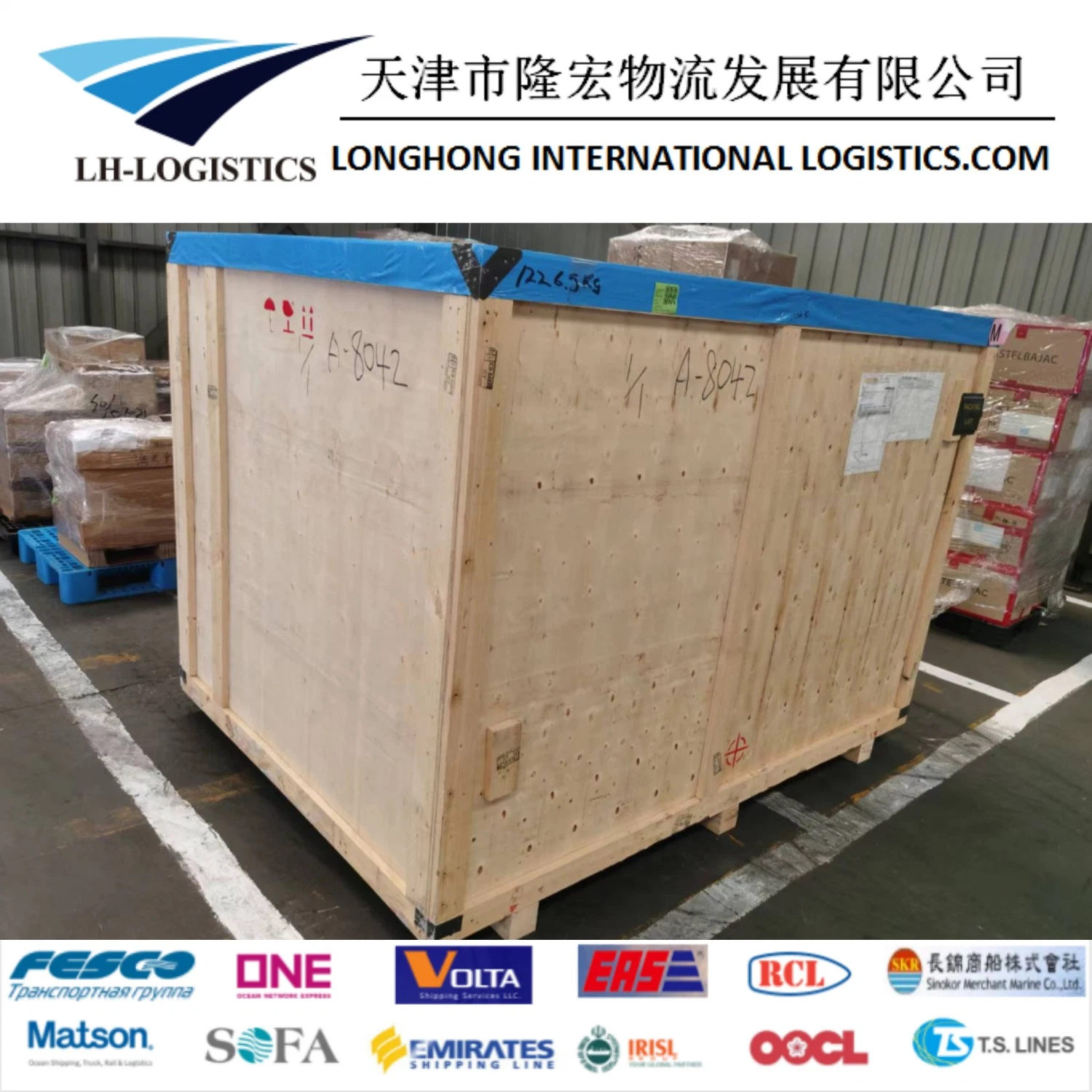 Best Sea Freight Agent From Ningbo to Jebel Ali, Middle East Shipping 1688