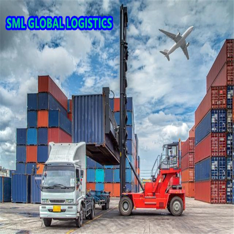 Ocean Transportation Sea Freight Professional Cheapest Fast Freight Forwarder and Shipping Agent to USA