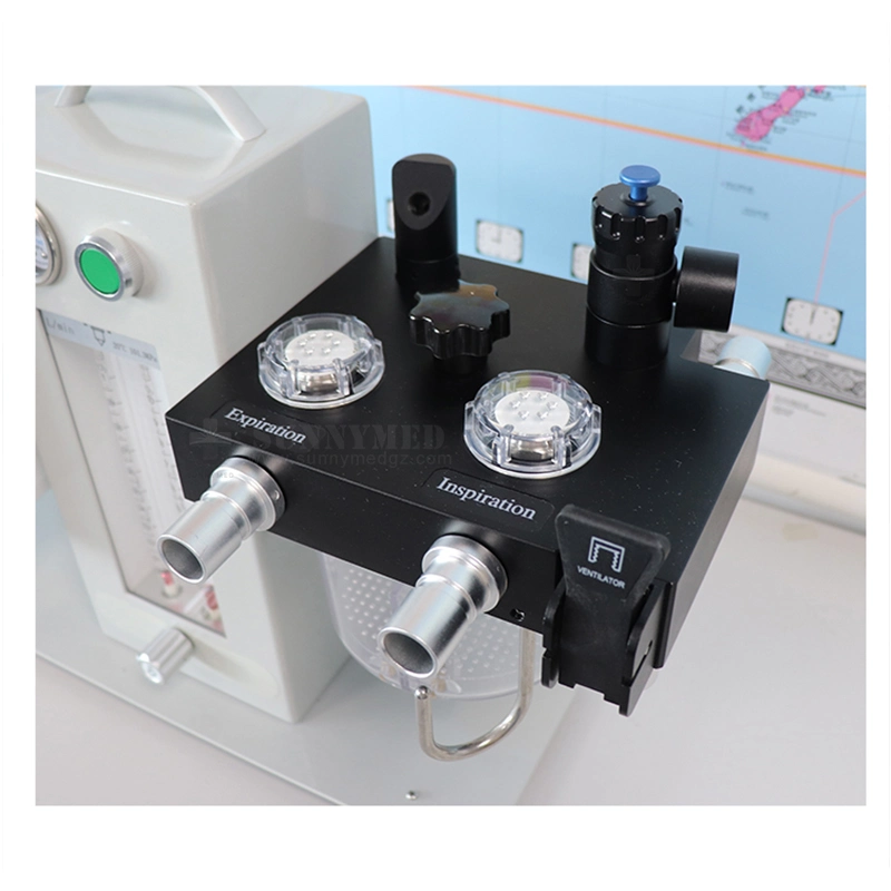 Sy-W006-1 High quality/High cost performance  Portable Animal Anesthesia Machine Ventilator for Animals