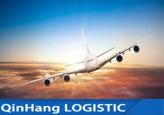 Express Logistic Services Fright Forwarder to Saudi Arabia DHL