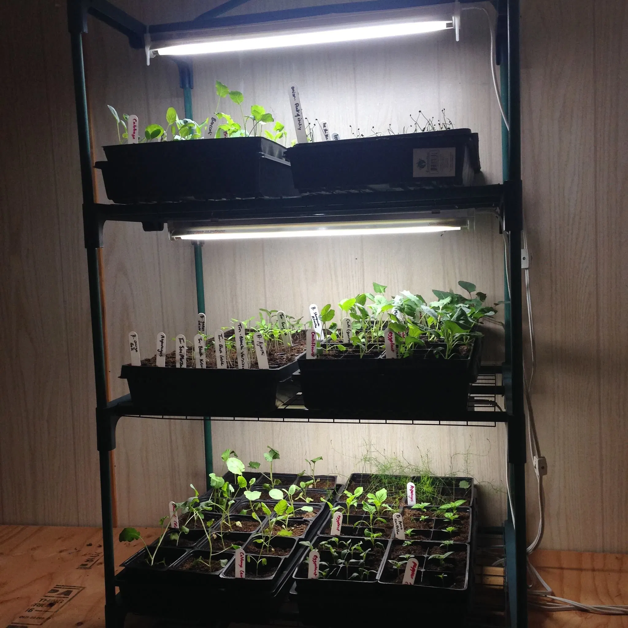 Smart Greenhouse with LED Grow Light for Medical Plants