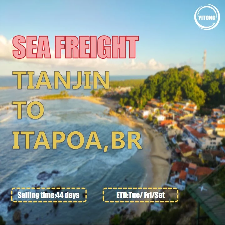 Tianjin Seefracht Zollabfertigung nach Itapoa Brasilien
