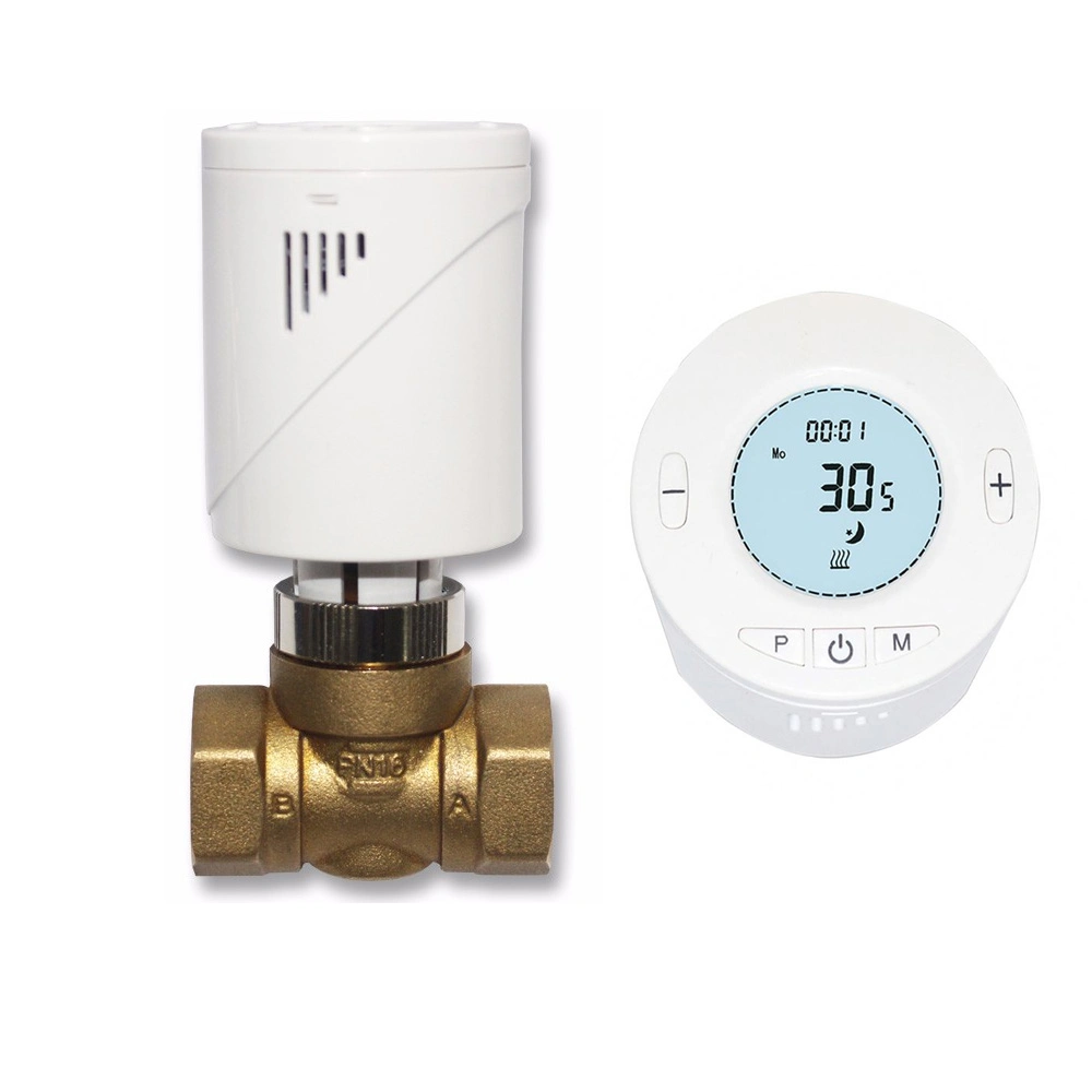 Radiateur thermostatique numérique sans fil WiFi de la vanne de radiateurs d'accueil