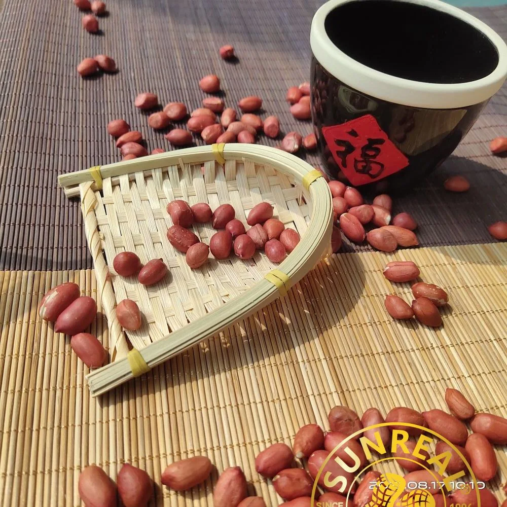 Raw Peanut Kernels/Red Skin/China/Best Quality/New Crop