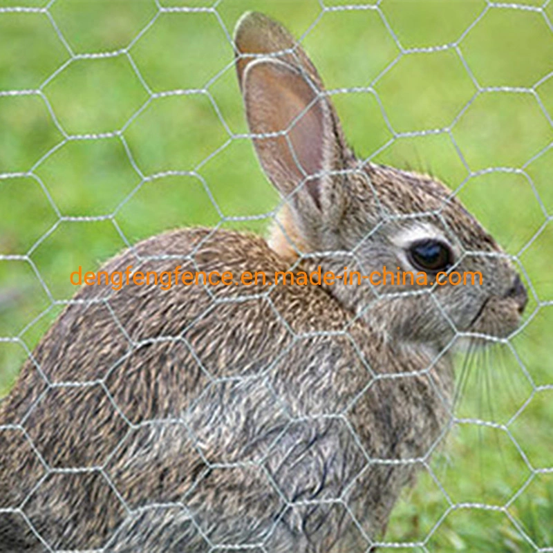 Verzinktes Sechseckiges Drahtgeflecht/Sechseckiges Drahtgeflecht/Chicken Wire Fence Kettenglied Kohlenstoffarmer Mesh-Eisendraht