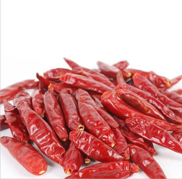 China Hot Spice Seasoning Chile seco cortado en seco rojo seco Chile picado/Tianjing