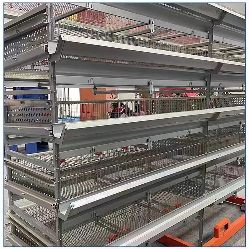 Maquinaria ganadera sistema automático de alimentación de jaulas de aves de corral para capas