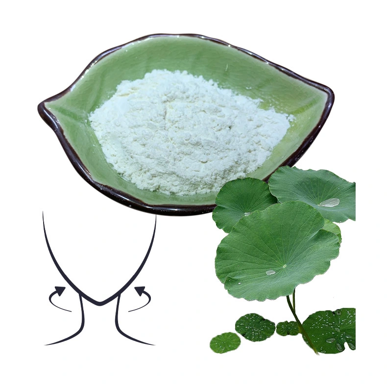 Nuciferin Nuciferine Lotus Leaf Extract with Effect of Weight Loss