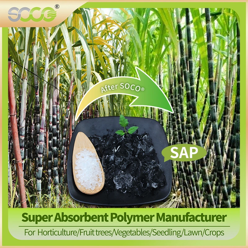 Polvo de Saponina Poliacrilato de Potasio/Sodio Cristales Retenedores de Agua Gel Polímero Súper Absorbente para Plantas en Sequía, Olivo, Aguacate, Uva, Guisante, Rapple, Naranja